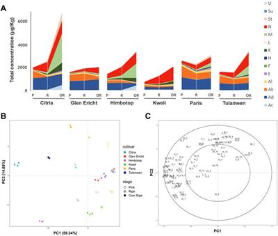 Volatilomics of raspberry fruit germplasm by combining chromatographic and direct-injection mass spectrometric techniques